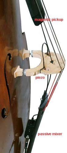 zadow bass pickup system